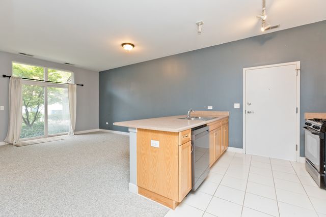 1515 S Halsted Street 214, Chicago, IL 60607