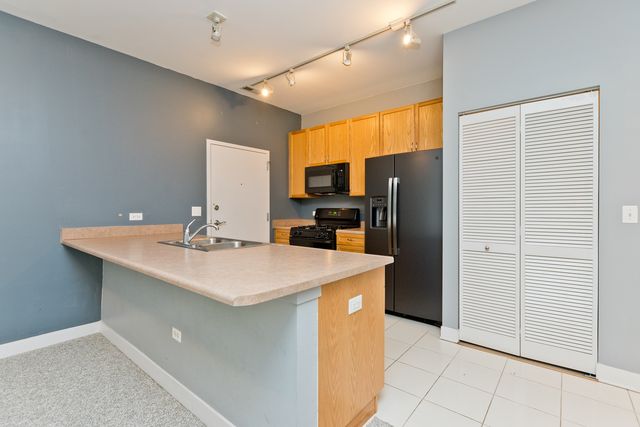 1515 S Halsted Street 214, Chicago, IL 60607