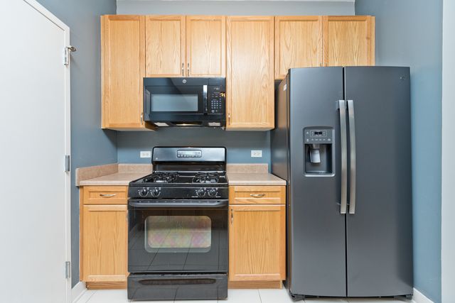 1515 S Halsted Street 214, Chicago, IL 60607