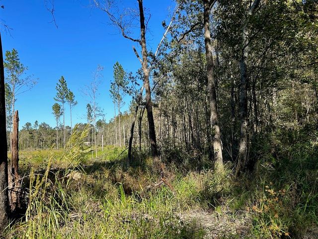SW CATHERINE LANE, Lake City, FL 32025