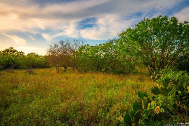 3305 CR 129, Kenedy, TX 78119