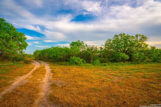 3305 CR 129, Kenedy, TX 78119