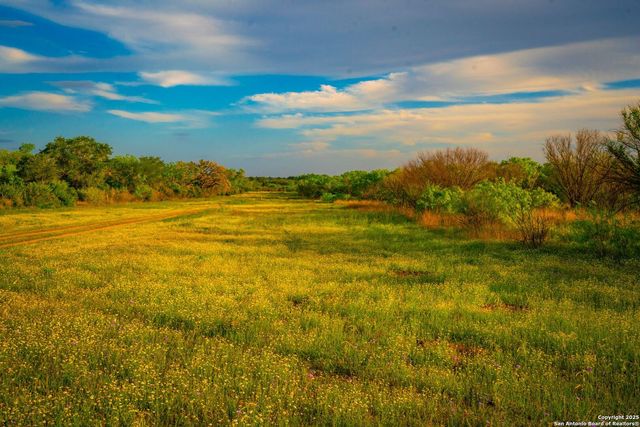 3305 CR 129, Kenedy, TX 78119