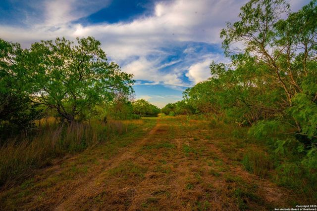 3305 CR 129, Kenedy, TX 78119