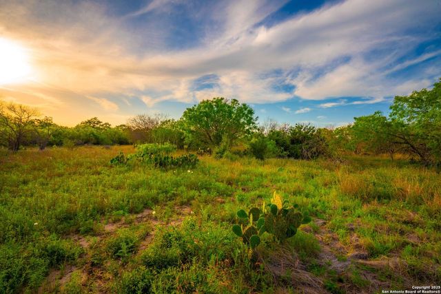 3305 CR 129, Kenedy, TX 78119