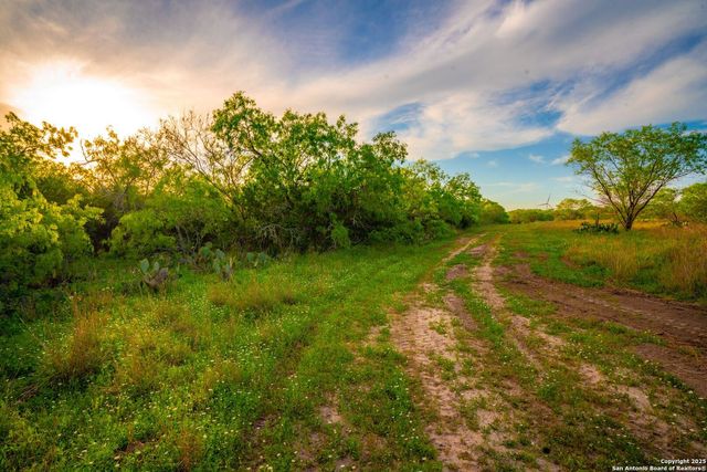 3305 CR 129, Kenedy, TX 78119