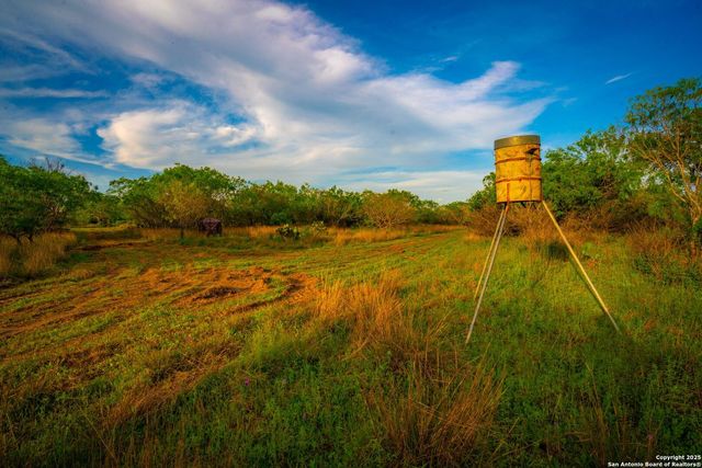 3305 CR 129, Kenedy, TX 78119