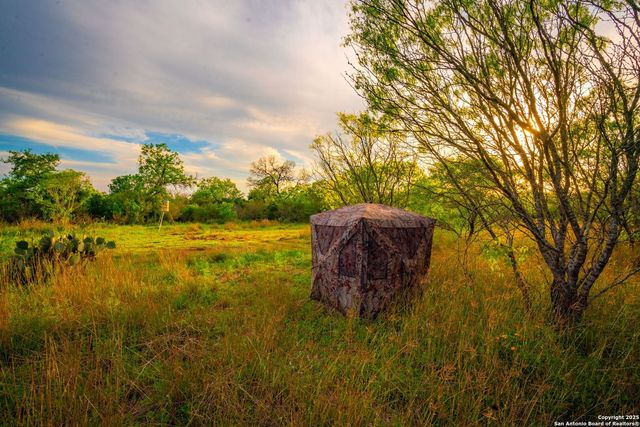 3305 CR 129, Kenedy, TX 78119