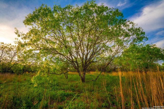 3305 CR 129, Kenedy, TX 78119