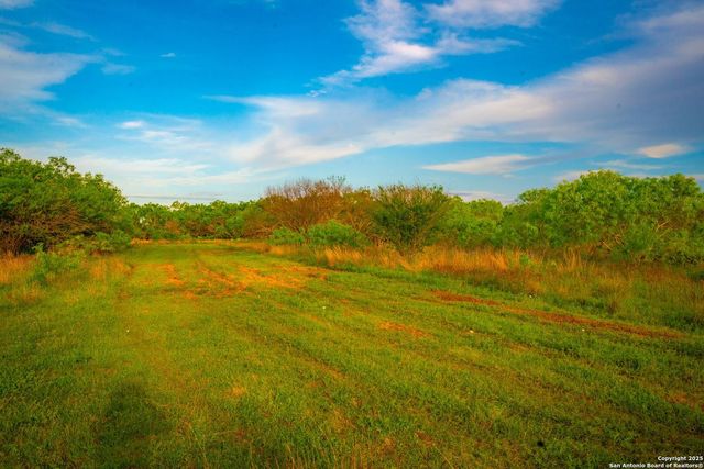 3305 CR 129, Kenedy, TX 78119