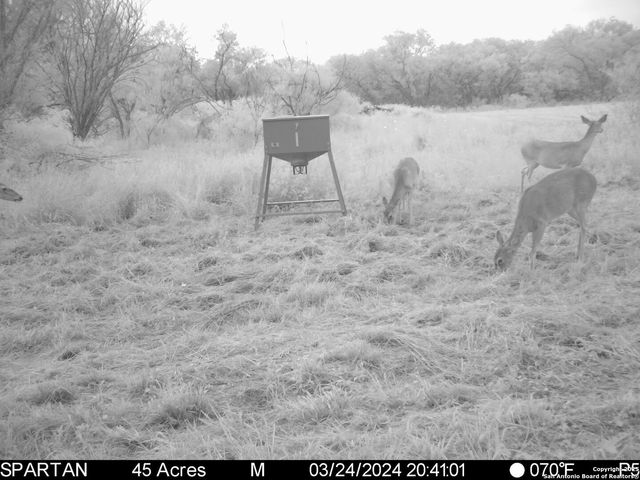 3305 CR 129, Kenedy, TX 78119