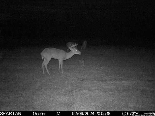 3305 CR 129, Kenedy, TX 78119