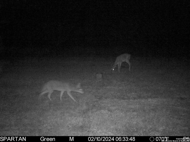 3305 CR 129, Kenedy, TX 78119