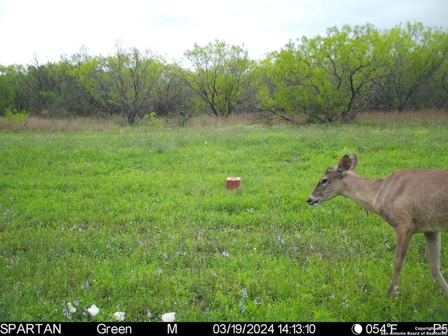 3305 CR 129, Kenedy, TX 78119