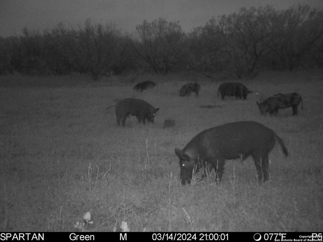 3305 CR 129, Kenedy, TX 78119