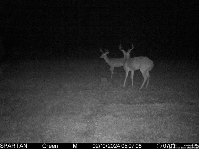 3305 CR 129, Kenedy, TX 78119