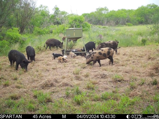 3305 CR 129, Kenedy, TX 78119