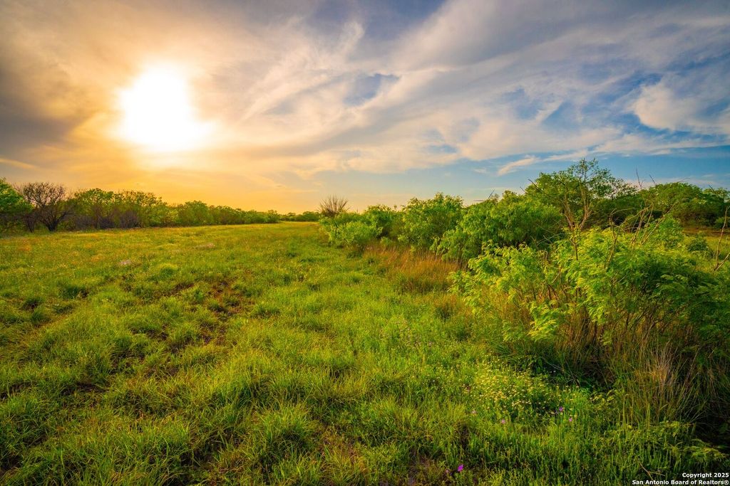 3305 CR 129, Kenedy, TX 78119