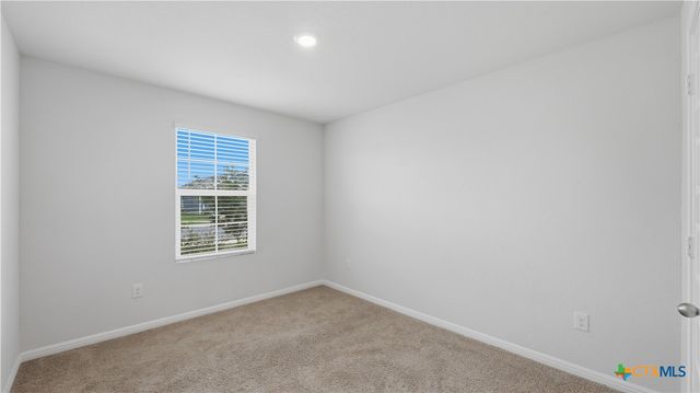 323 Elephants Ear Drive, New Braunfels, TX 78130