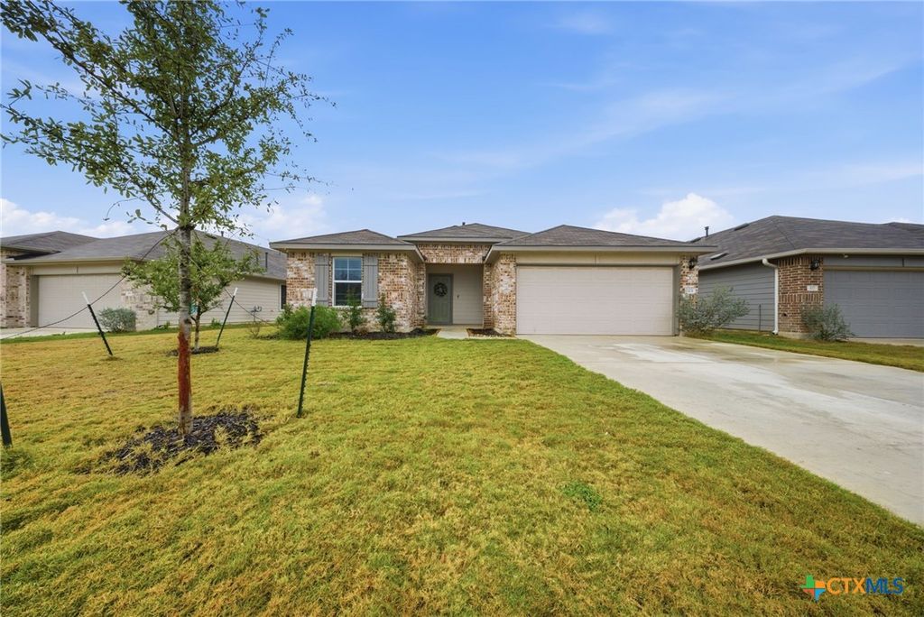 323 Elephants Ear Drive, New Braunfels, TX 78130