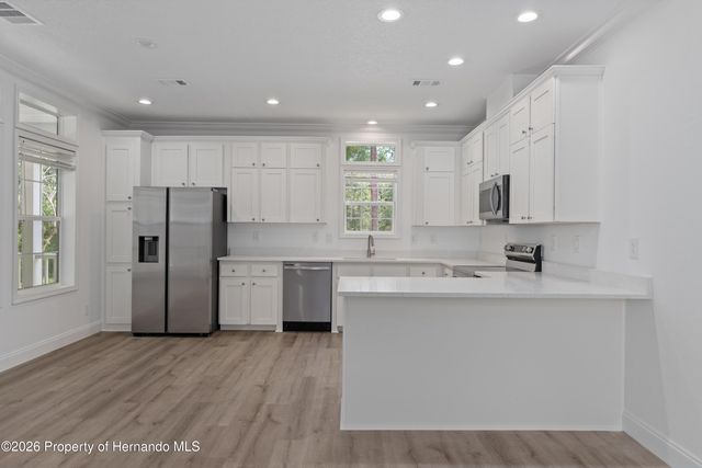 14249 Razorbill Avenue, Weeki Wachee, FL 34614