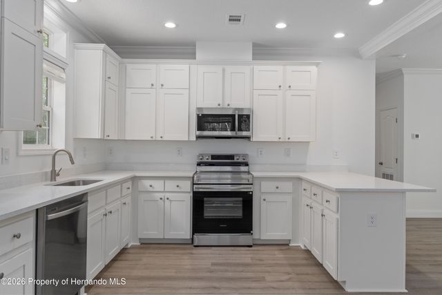 14249 Razorbill Avenue, Weeki Wachee, FL 34614