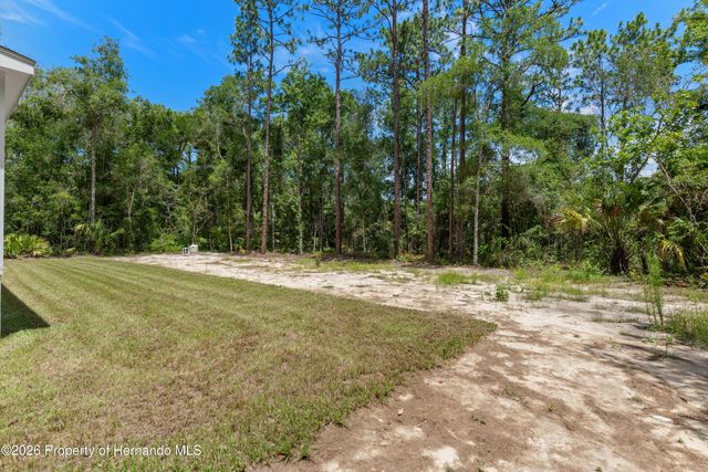 14249 Razorbill Avenue, Weeki Wachee, FL 34614
