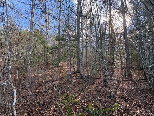 619 The Bear Boulevard, Tamassee, SC 29686