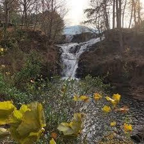 0 Mulligan Way, Jasper, GA 30143