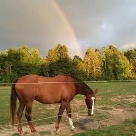 0 Mulligan Way, Jasper, GA 30143