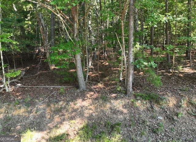 0 Popular Drive LOT 4, Blairsville, GA 30512