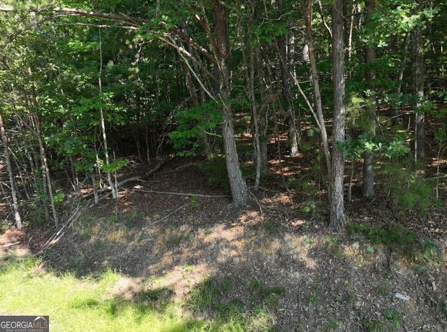 0 Popular Drive LOT 4, Blairsville, GA 30512