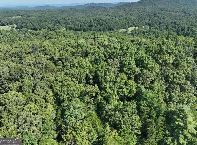 0 Popular Drive LOT 4, Blairsville, GA 30512