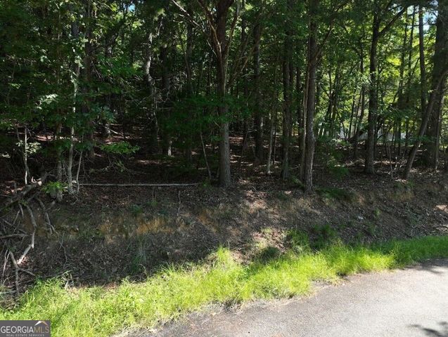 0 Popular Drive LOT 4, Blairsville, GA 30512