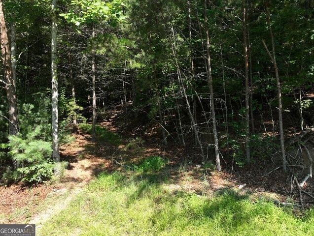 0 Popular Drive LOT 4, Blairsville, GA 30512