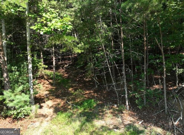 0 Popular Drive LOT 4, Blairsville, GA 30512