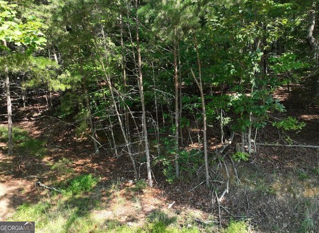 0 Popular Drive LOT 4, Blairsville, GA 30512
