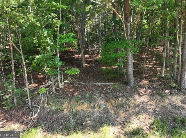 0 Popular Drive LOT 4, Blairsville, GA 30512
