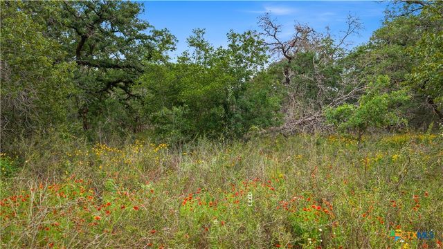 205 Sendera Crossing, La Vernia, TX 78121