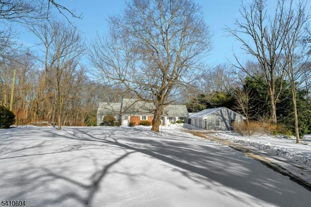 29 Village Rd, Harding Twp., NJ 07976