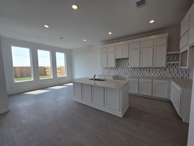 29067 Bison Haven Drive, Hockley, TX 77447