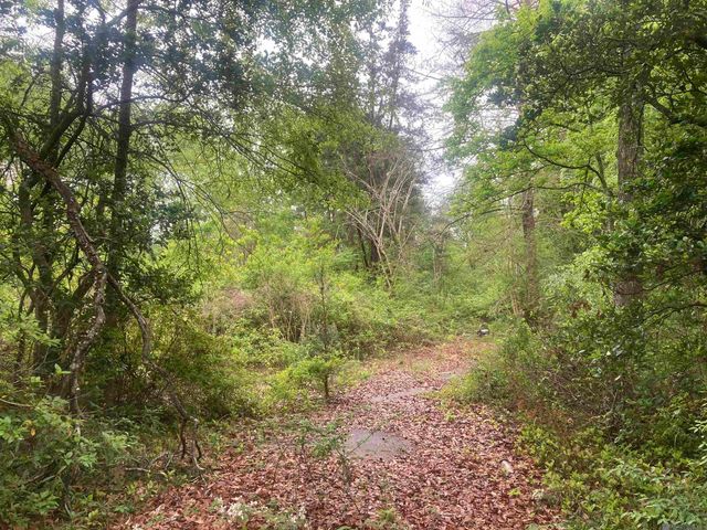 1218 Rodeo Dr, Denham Springs, LA 70726