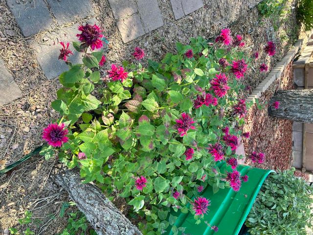 14 Asher Lane, Tijeras, NM 87059