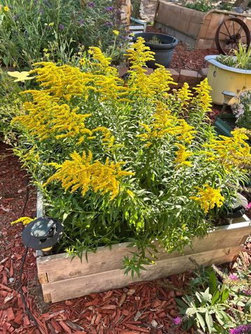 14 Asher Lane, Tijeras, NM 87059