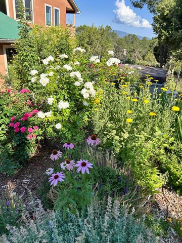 14 Asher Lane, Tijeras, NM 87059