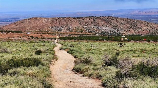 121 Juniper Hills, Juniper Hills, CA 93543