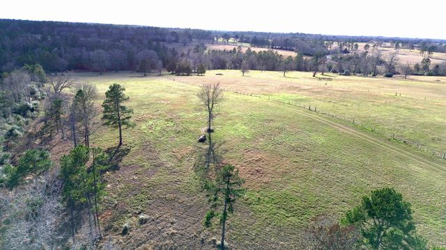 8084 E County Road 212, Buffalo, TX 75831