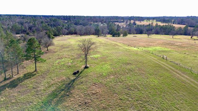 8084 E County Road 212, Buffalo, TX 75831