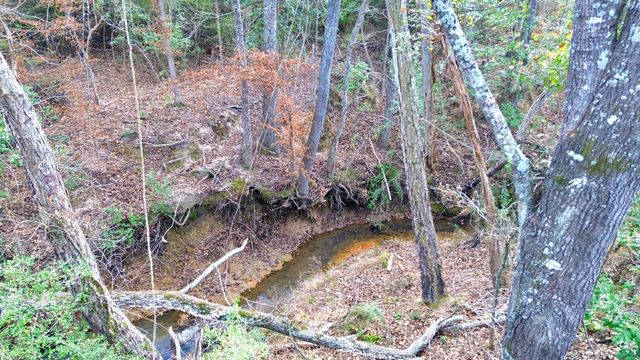 8084 E County Road 212, Buffalo, TX 75831