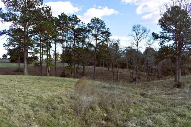 8084 E County Road 212, Buffalo, TX 75831